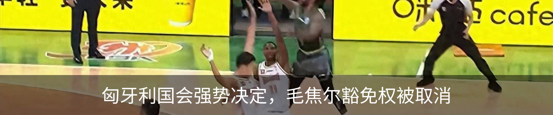 新闻动态